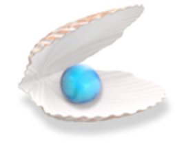 Webdesign Solothurn - Perlen Portfolio